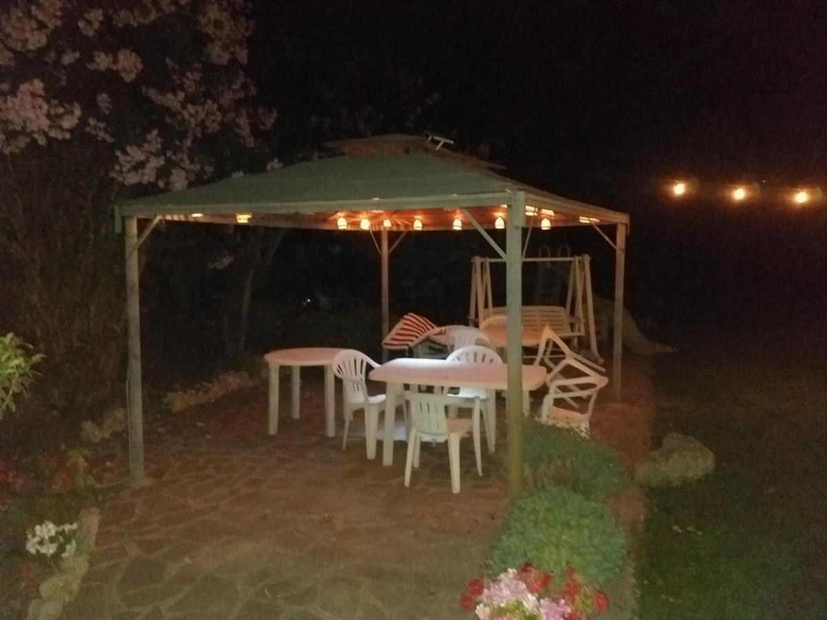 Garden Basement - Seminterrato Max 4 Ospiti - Fiumicino Vicino Aeroporto E Fiera Appartement Buitenkant foto