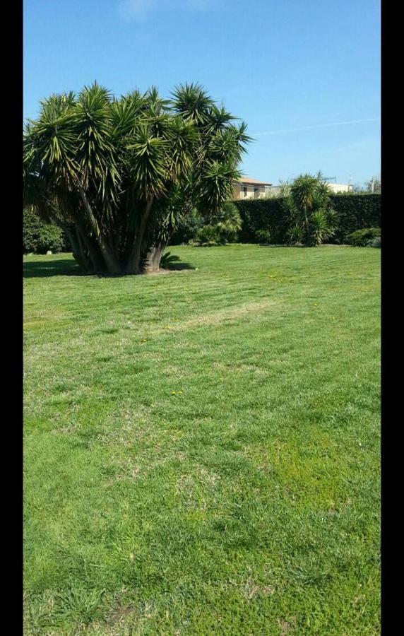 Garden Basement - Seminterrato Max 4 Ospiti - Fiumicino Vicino Aeroporto E Fiera Appartement Buitenkant foto