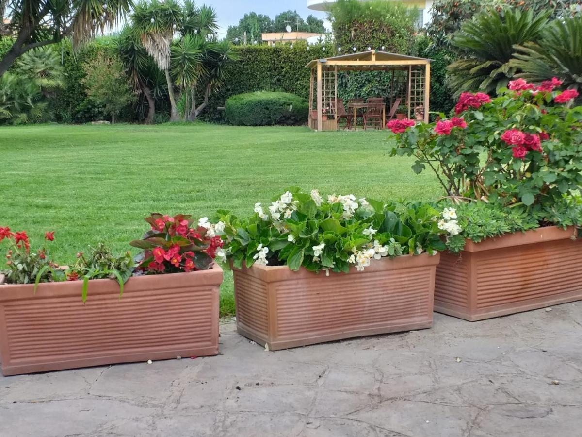 Garden Basement - Seminterrato Max 4 Ospiti - Fiumicino Vicino Aeroporto E Fiera Appartement Buitenkant foto