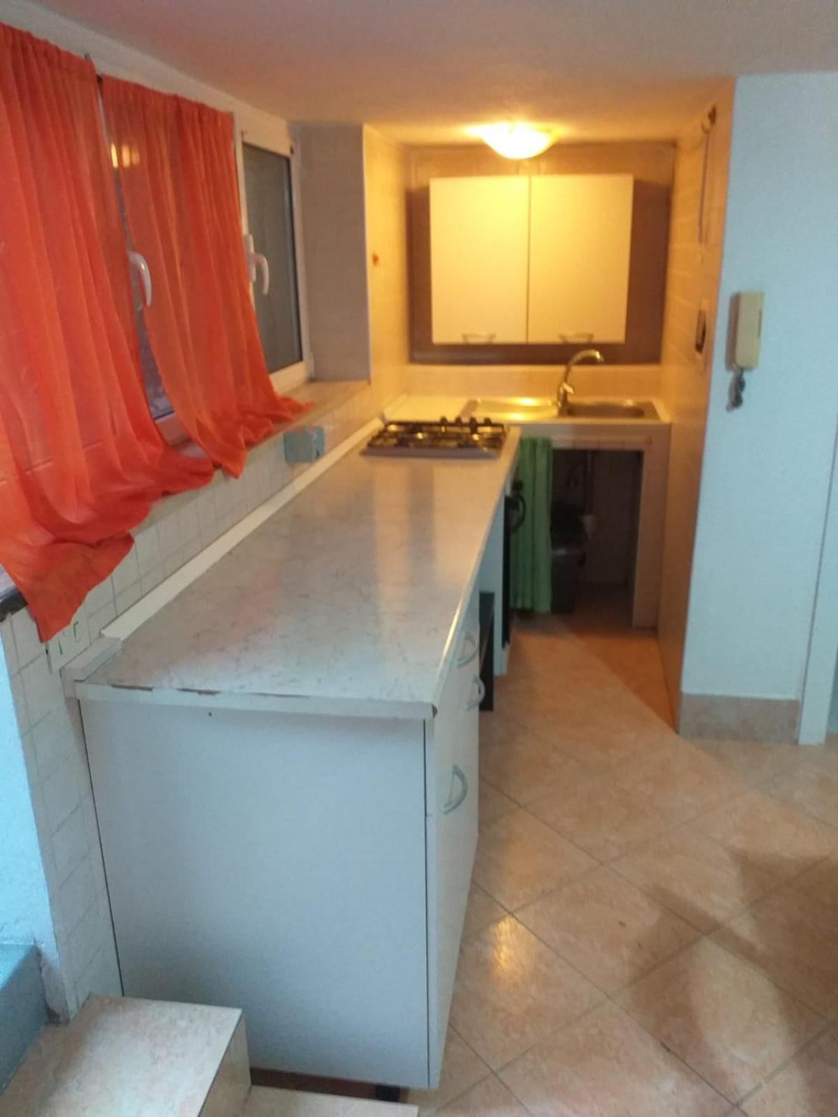 Garden Basement - Seminterrato Max 4 Ospiti - Fiumicino Vicino Aeroporto E Fiera Appartement Buitenkant foto